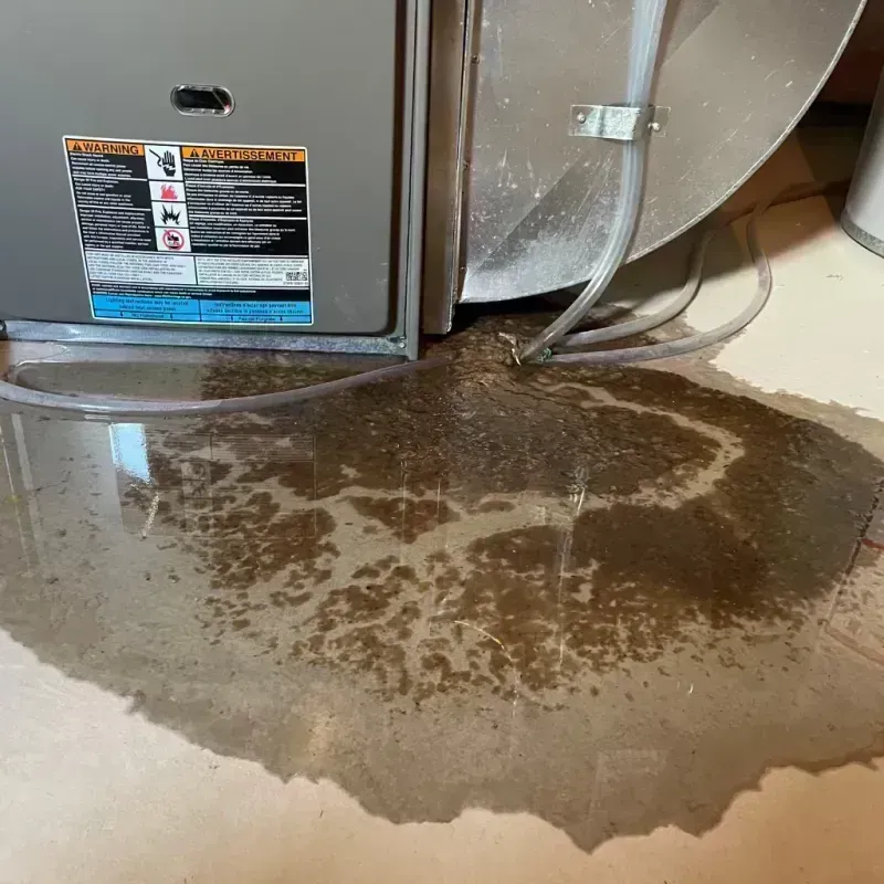 Appliance Leak Cleanup in Junction, UT